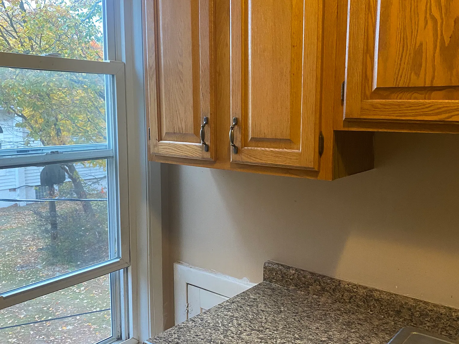 1 bed, $950 — Photo 3