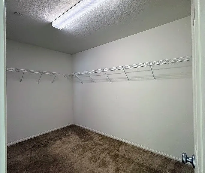 155 Fulgora St — Photo 13