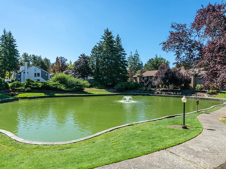 Outdoor Landscaping and Pond