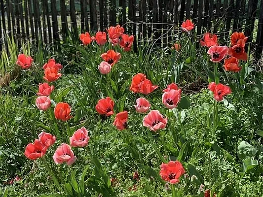 Sold by Remax Edge | media 27