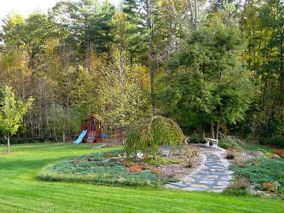 Back yard