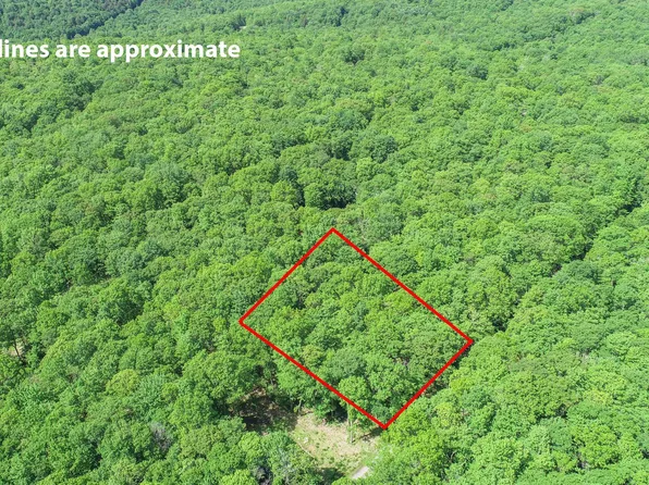 Gobler Run Rd, Oakland, MD 21550