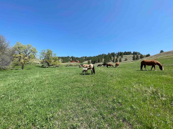 4104 Alder Pl, Sturgis, SD 57785