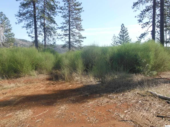 13645 Skyway, Magalia, CA 95954