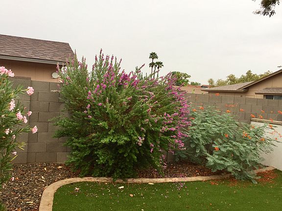 2nd image of 303 W Mission Dr