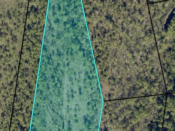 6103 Mary Kitchens Rd, Milton, FL 32583
