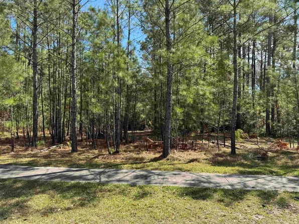 113 Pineberry Dr., Georgetown, SC 29440