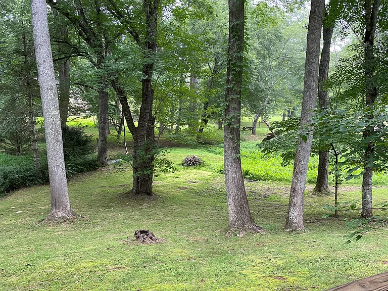 787 Coweeta Lake Cir — Photo 5