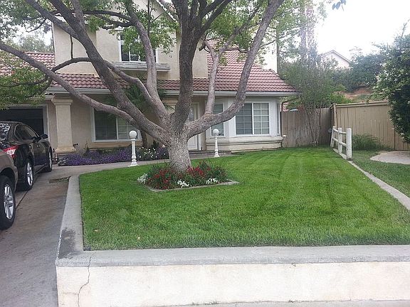 level front yard, shade tree