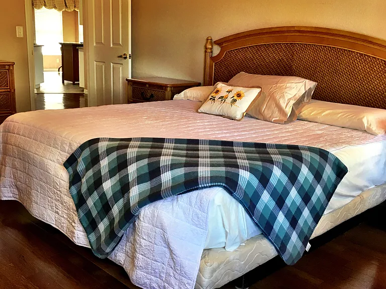 Master Bedroom with king size bed