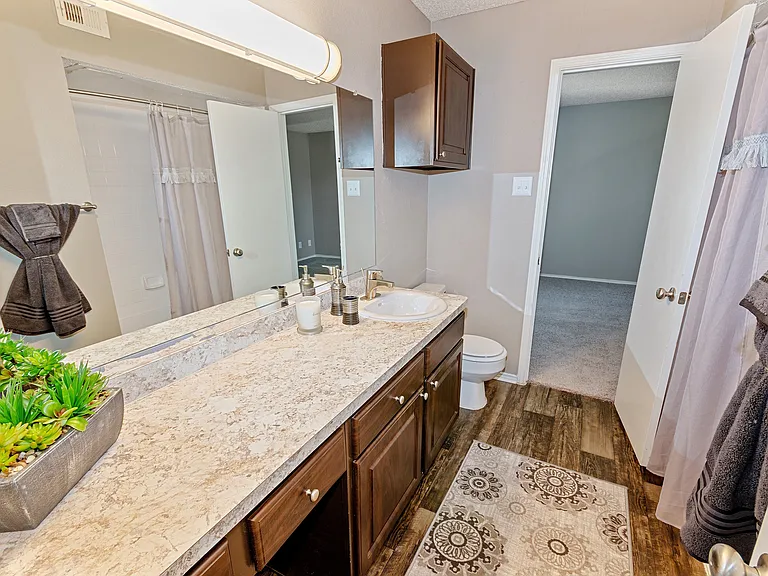 Luxury Bathrooms with Modern Features