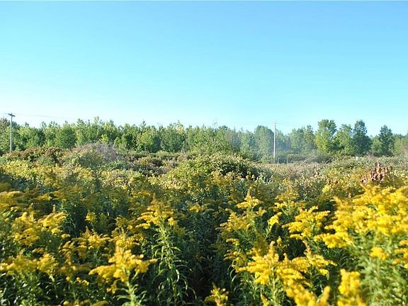 4th image of 9791 Black Creek Rd