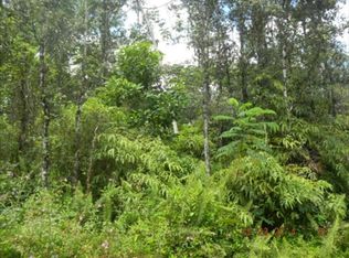 Hapuu Rd LOT 142, Pahoa, HI 96778