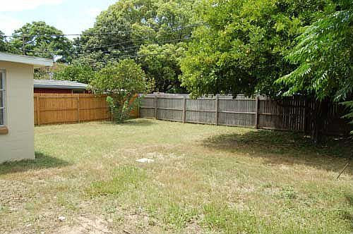 Back Yard