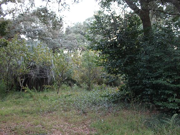 Fenced on 3 sides 