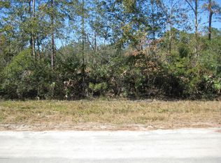 77 Cocoa Ave N, Middleburg, FL 32068