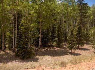 200 S 2nd St, Victor, CO 80860