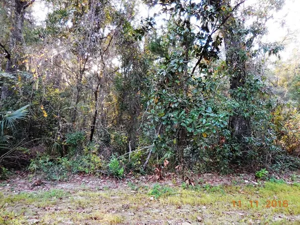 17832 NW 90th Ter, Fanning Springs, FL 32693