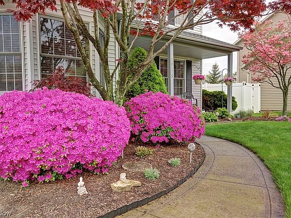 3rd image of 20175 Homestead Park Dr