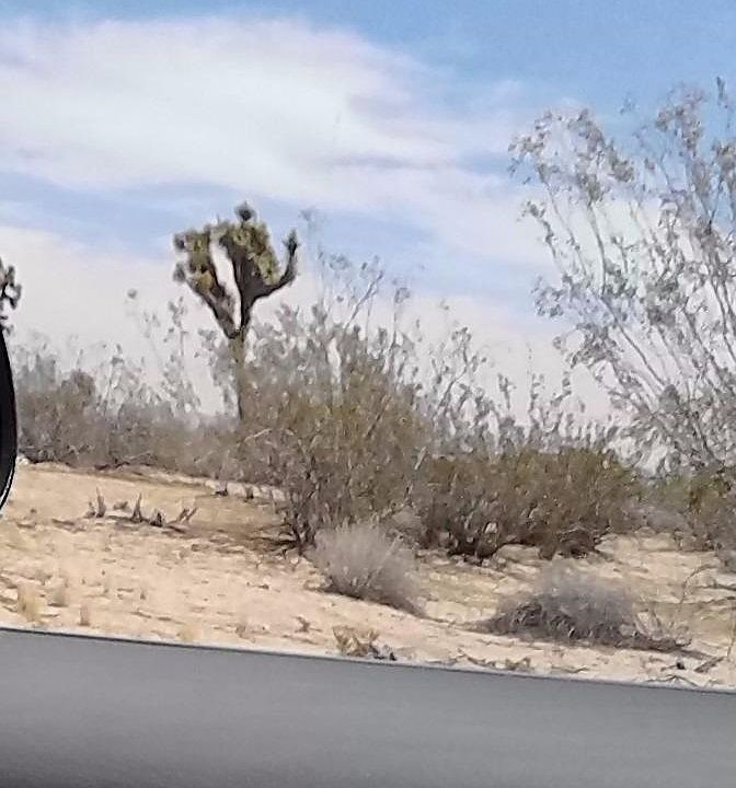 2nd image of Mojave Dr
