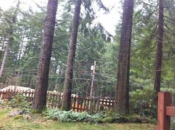 4th image of 17329 426th Ave SE