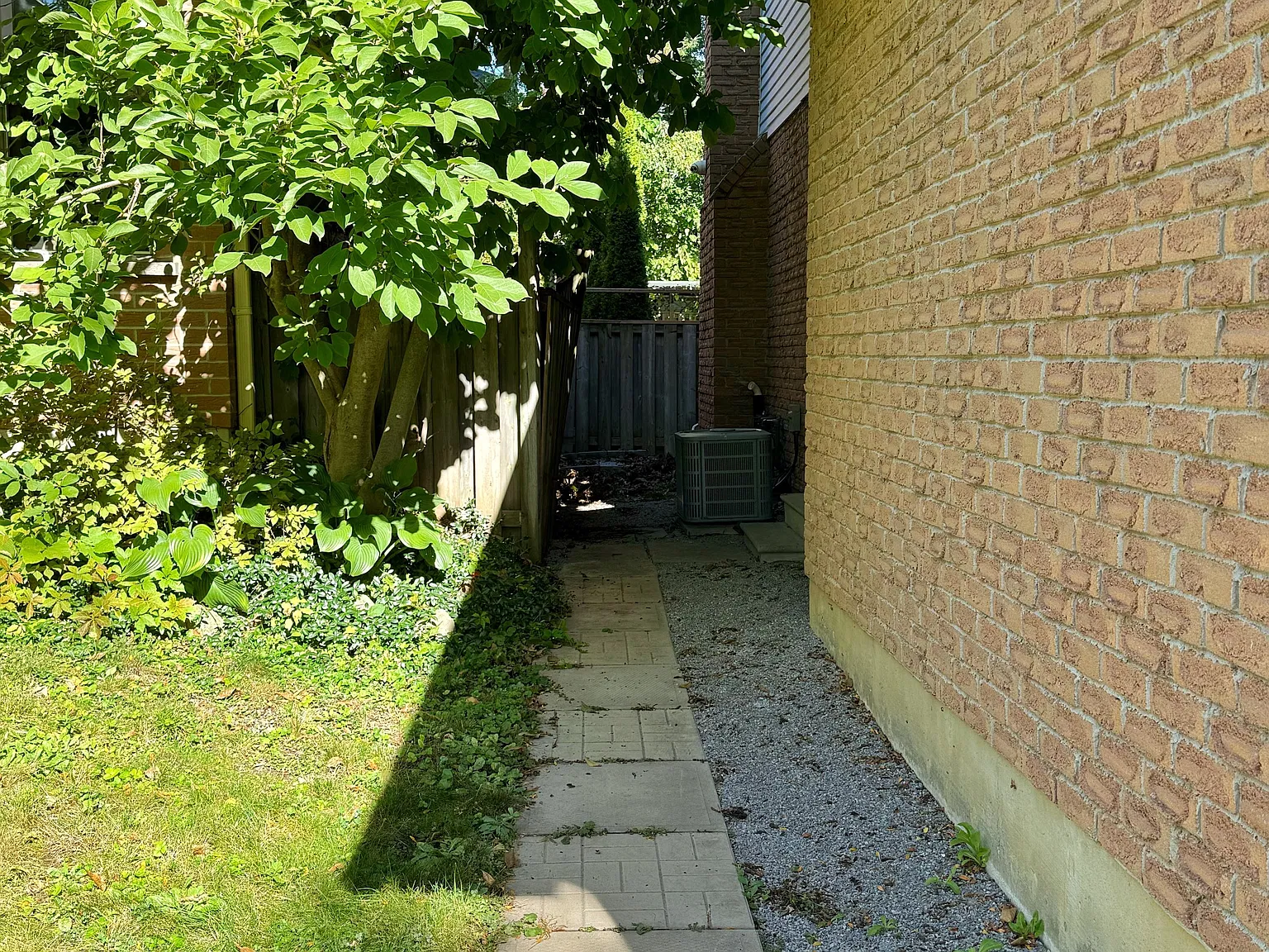 1 bed, $1,500 — Photo 3