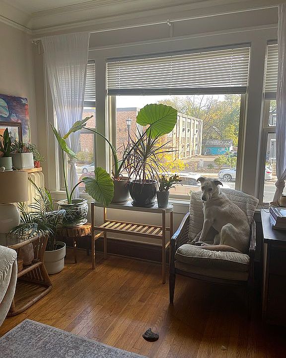 1st image of 3644 Nicollet Ave APT 102