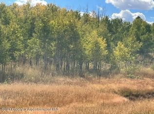 County Road 11, Craig, CO 81625