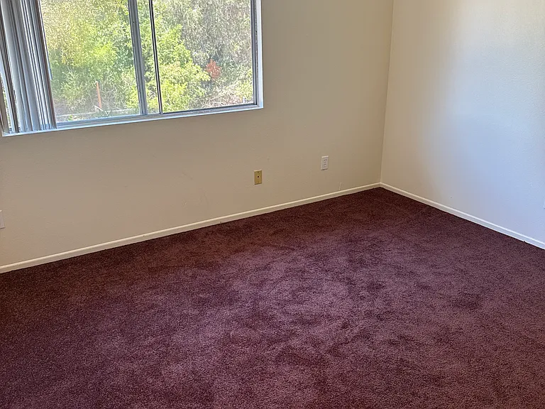 704 Summerwood Ln #3 — Photo 41