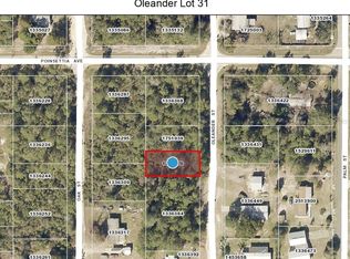 Oleander St LOT 31, Paisley, FL 32767