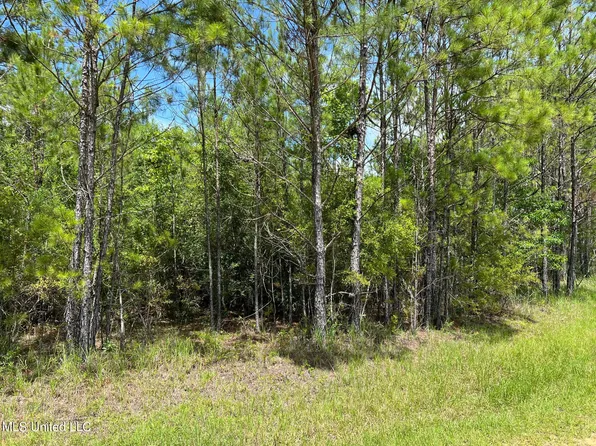 LOT 98 River Blf Lot 98, Vancleave, MS 39565
