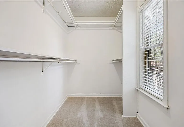 1694 Belvedere Ct — Photo 19