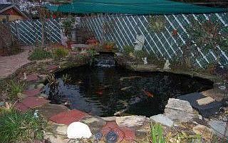 4th image of 9418 Park Lake Dr