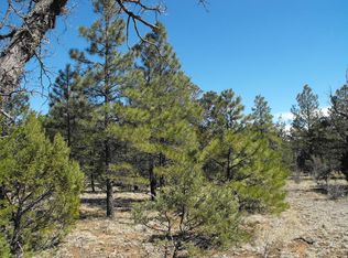 1111 Lofty Ln, Happy Jack, AZ 86024