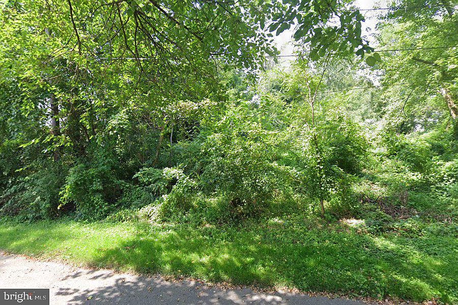 2nd image of 305 Poplar Ave