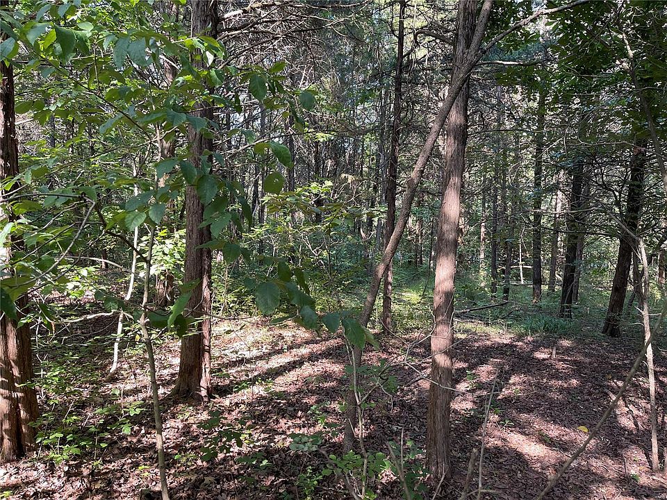 1st image of 10280 Timber Hill Dr