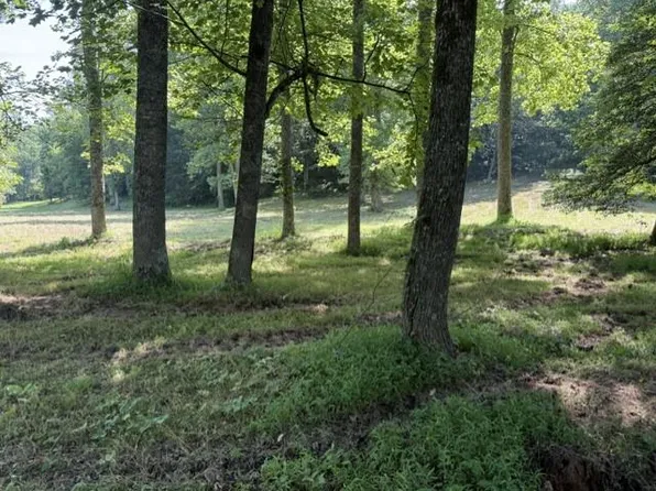 Clear Creek Preserve Way #6, Ellijay, GA 30536
