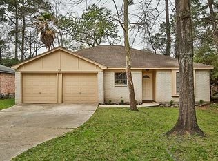 19 W Bigelow Oak Ct, Spring, TX 77381