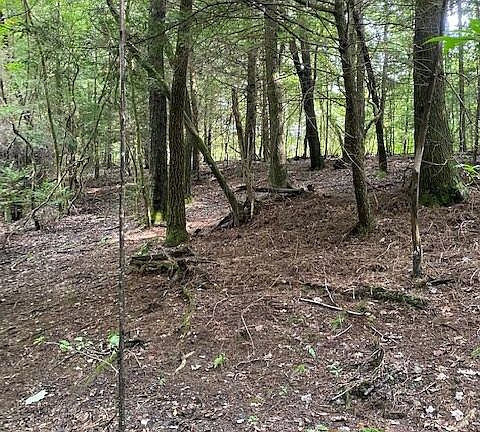 3rd image of 1 Hickory Dr Lot 1