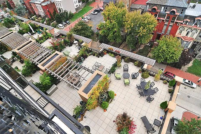 look down from rooftop