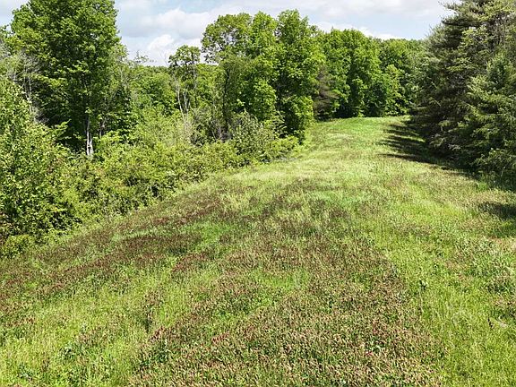 5th image of 0 Alderman Rd