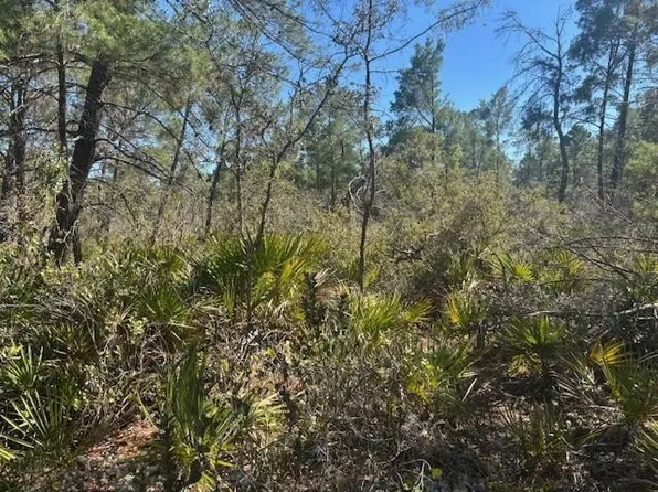 10681 Interlacher Drive, Sebring, FL 33852