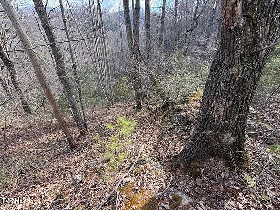 5th image of Banjo Ridge Rd #39