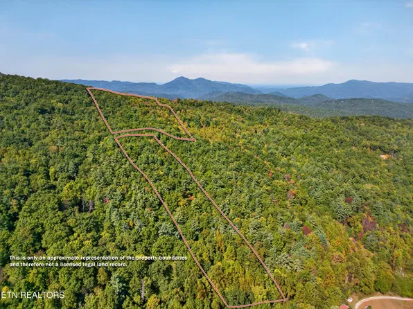 0 Reece Hollow Rd, Del Rio, TN 37727