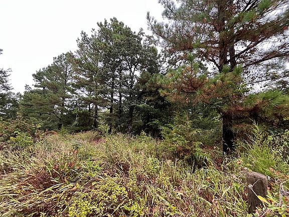 4th image of 210 Amber Rdg Lot 32