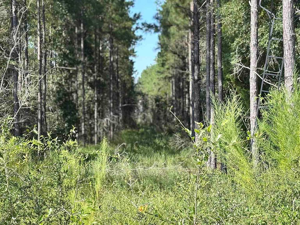 1st image of LOT 72 Posie Forest Rd