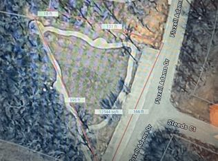 LOT 29 Jim Walter Dr, Bridgeport, TX 76426