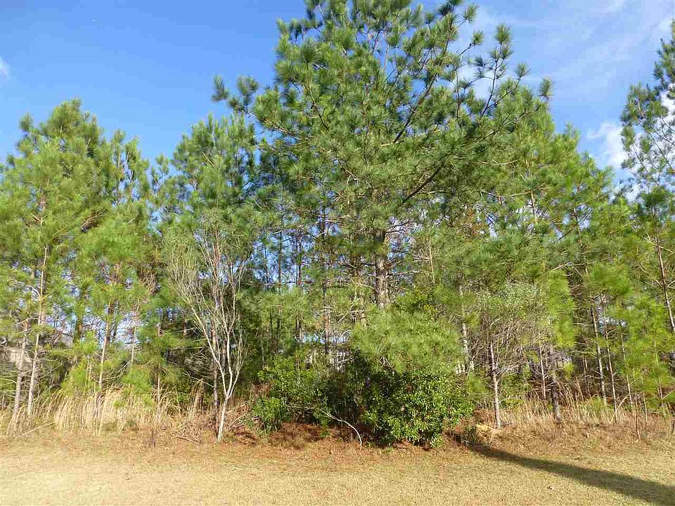 1st image of Xxxx Royal Isle Dr #6