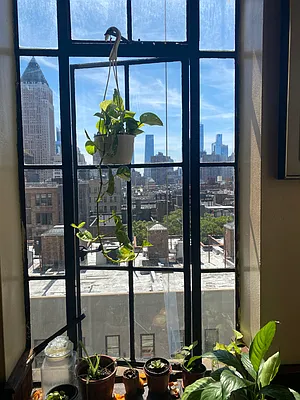Sold by R New York | media 17