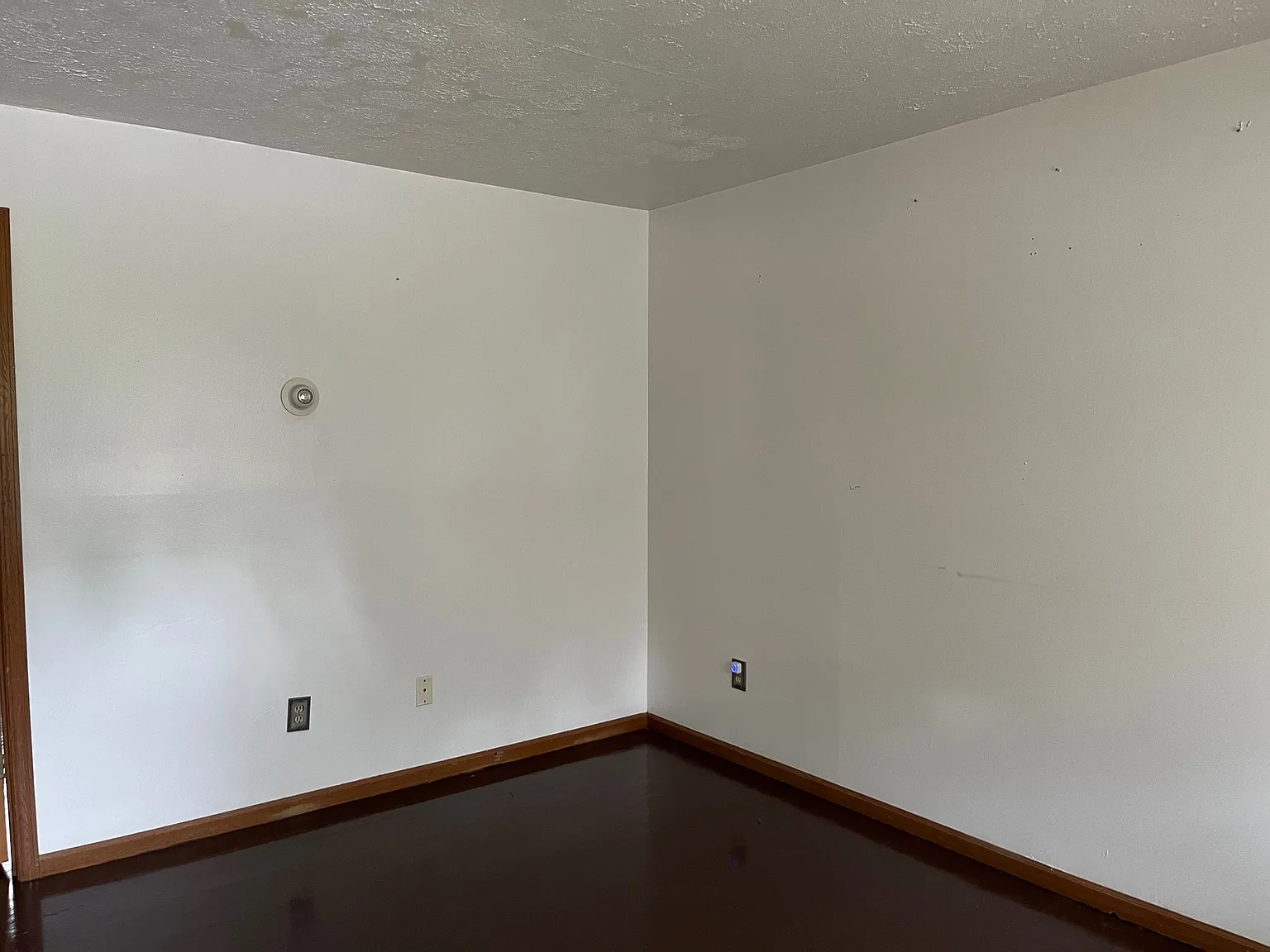 1 bed, $745 — Photo 2